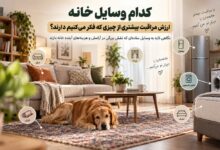 کدام وسایل خانه ارزش مراقبت بیشتری از چیزی که فکر می‌کنیم دارند؟
